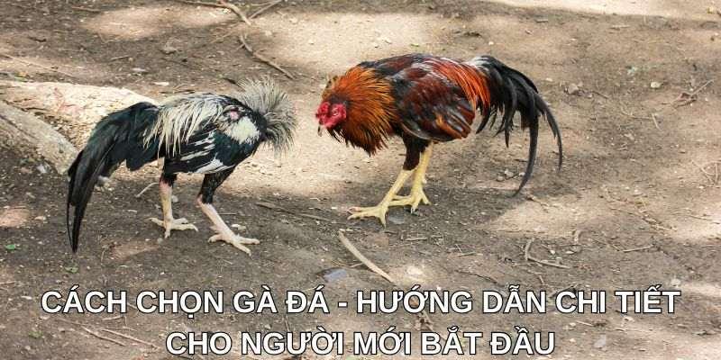 Khám phá hình thuyết trình độc đáo và cách thiết kế hình thuyết trình chuyên nghiệp để gây ấn tượng
