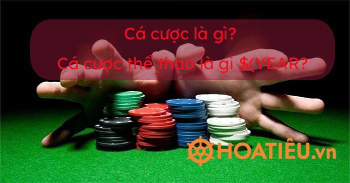Tải vip play siêu nhanh khám phá ưu đãi tại vip play ngay hôm nay